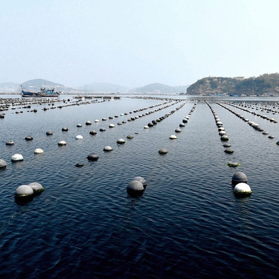 扬州国家渔业污染司法鉴定评估公司