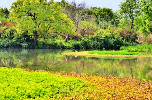 潍坊湿地公园规划论证机构